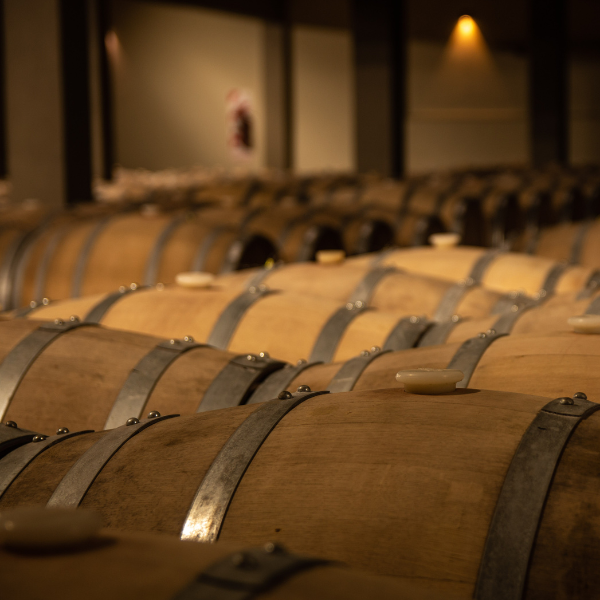 Marketing Vinícola en Huesca: Potenciando el Éxito del Vino Somontano en Aragón