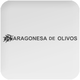 aragonesa de olivos